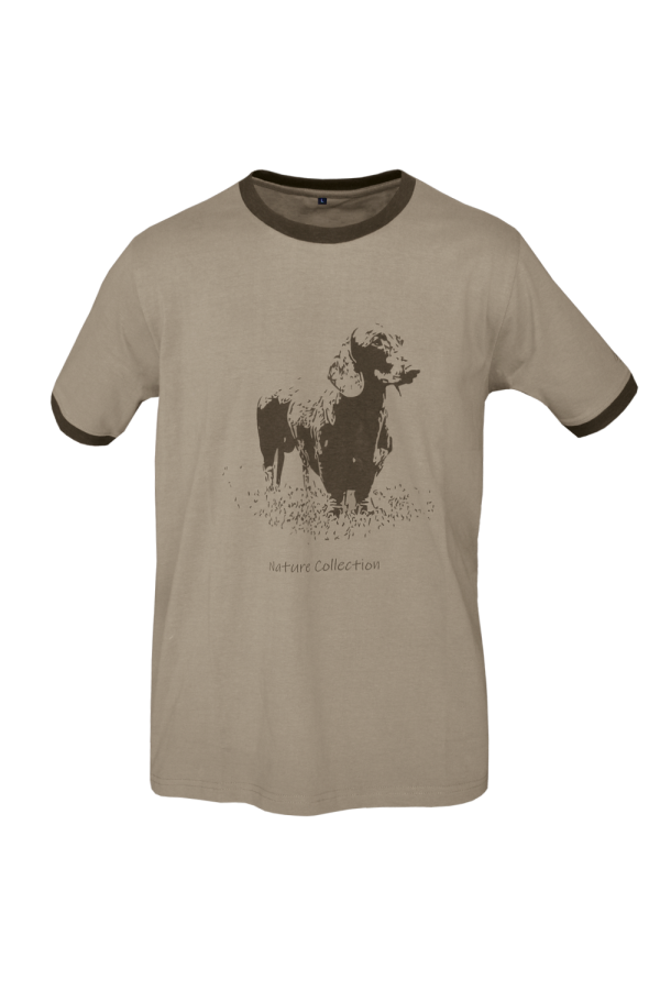 CAMISETA ALGODÓN  "TECKEL"